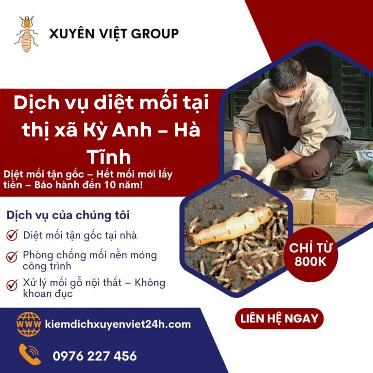 diệt mối tại thị xã Kỳ Anh 