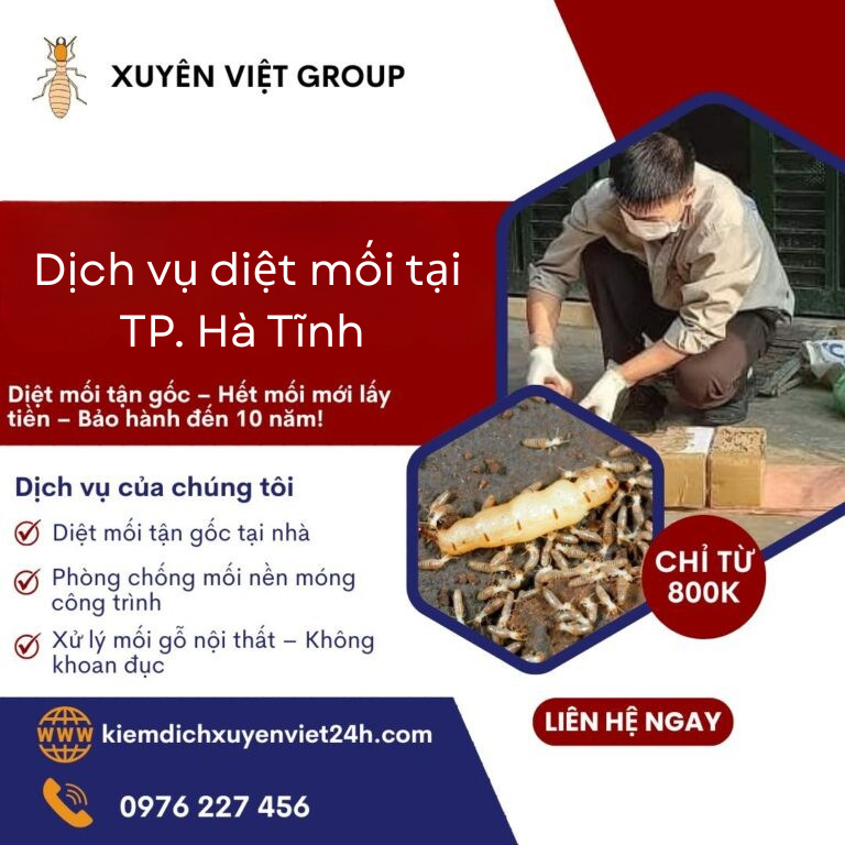 Diệt mối TP Hà Tĩnh