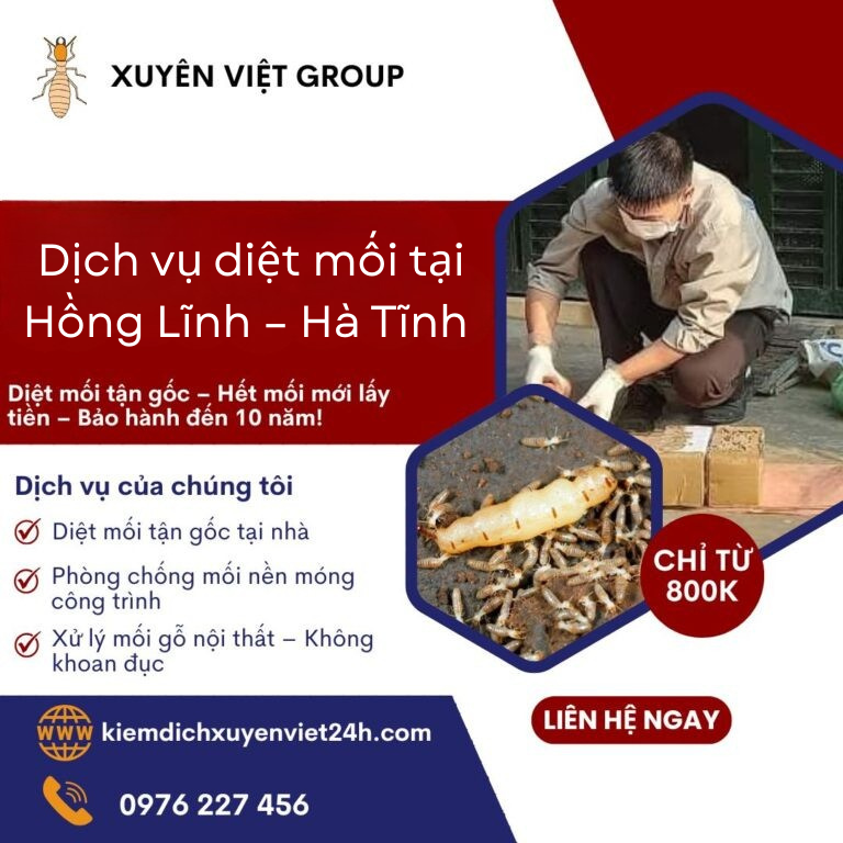 diệt mối tại Hồng Lĩnh 