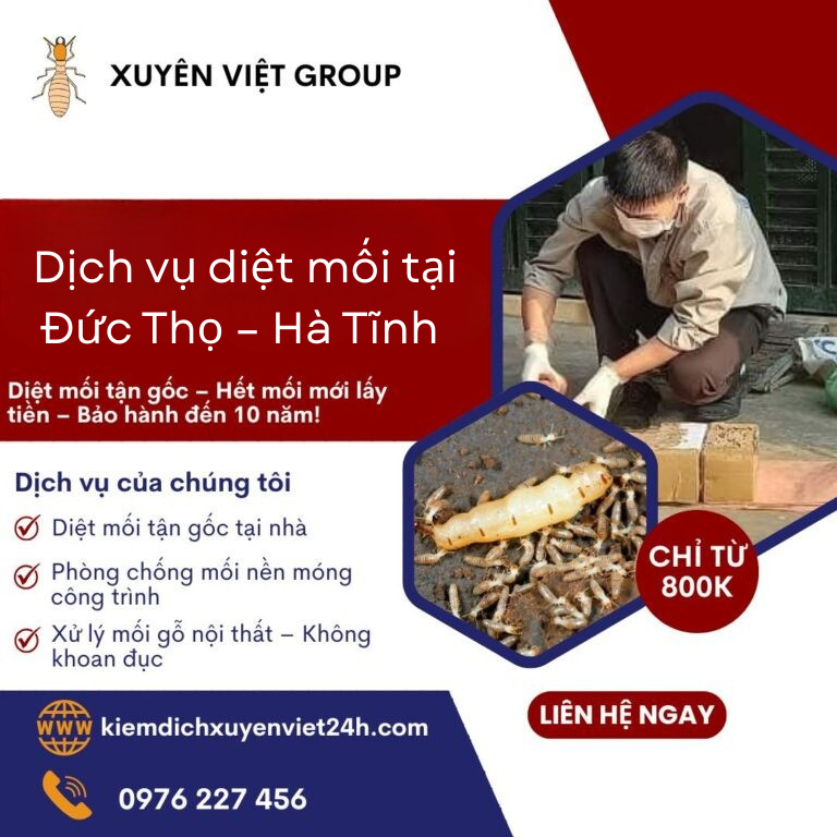  diệt mối tại Đức Thọ – Hà Tĩnh 