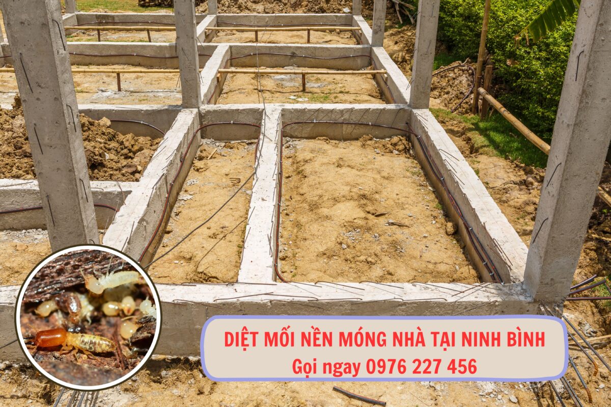 Diệt mối nền móng nhà tại Ninh Bình