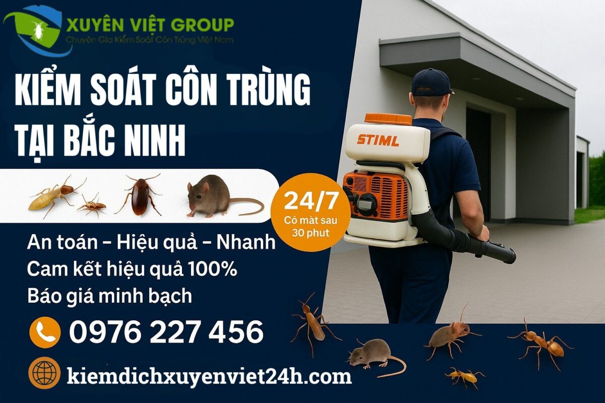 Kiểm soát côn trùng chuyên nghiệp tại Bắc Ninh