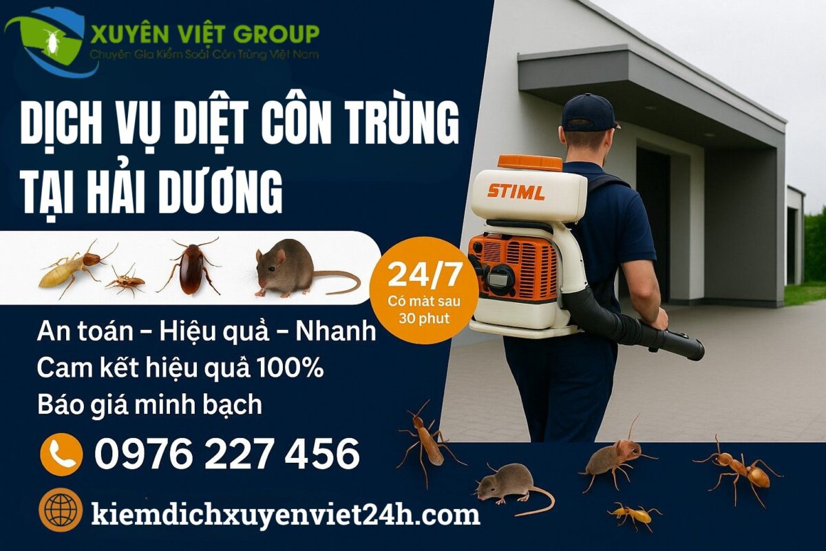 Thuê dịch vụ diệt côn trùng tại Hải Dương