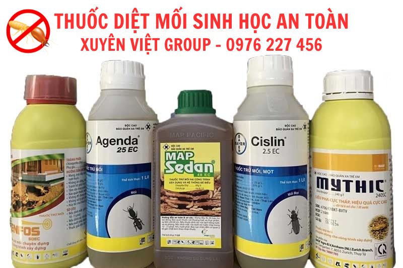 Thuốc diệt mối hiệu quả tại Hải Phòng