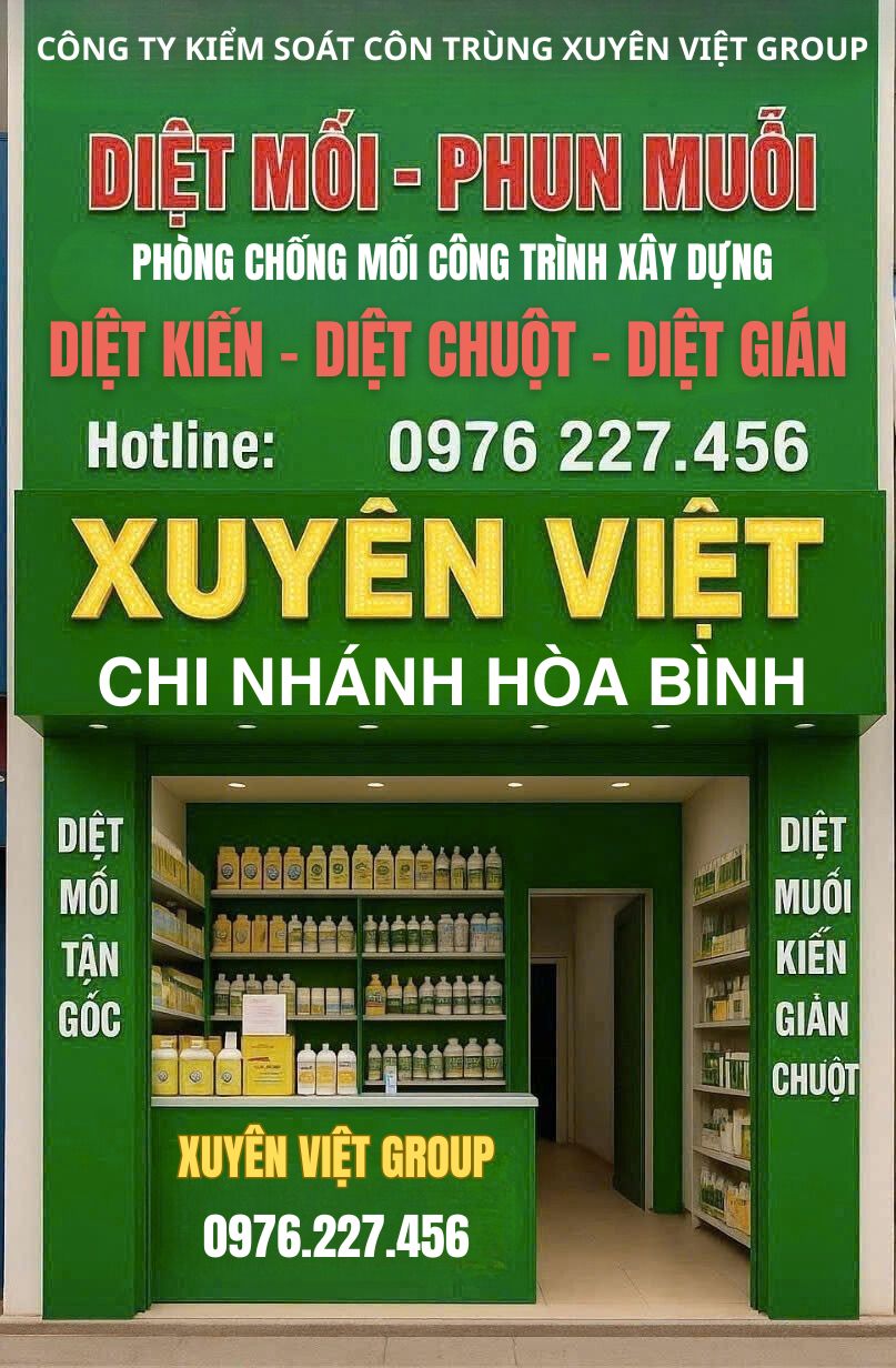 Công ty diệt mối tại Hòa Bình Xuyên Việt Group cam kết xử lý tận gốc tổ mối bằng thuốc sinh học chất lượng cao