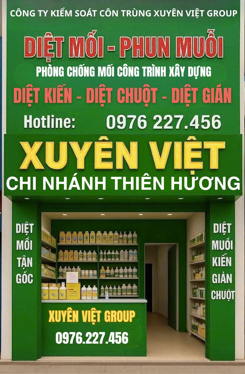 Xuyên Việt Group – Công ty diệt mối tại Thiên Hương uy tín, an toàn cho mọi nhà!