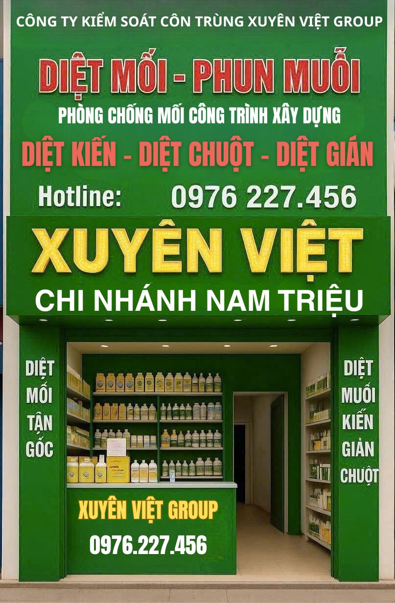 Xuyên Việt Group – Công ty diệt mối tại Nam Triệu uy tín, chuyên nghiệp