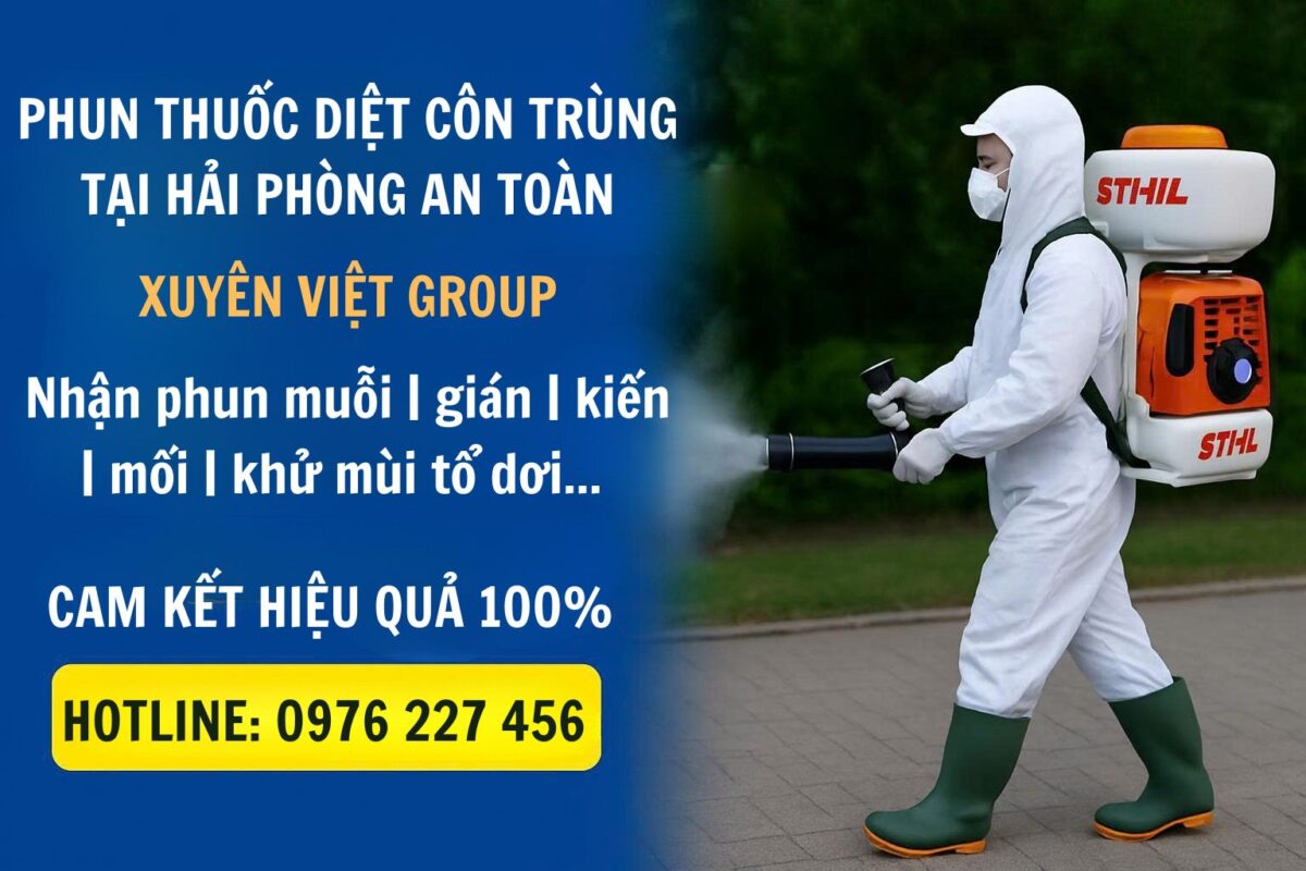 Phun thuốc diệt côn trùng tại Hải Phòng