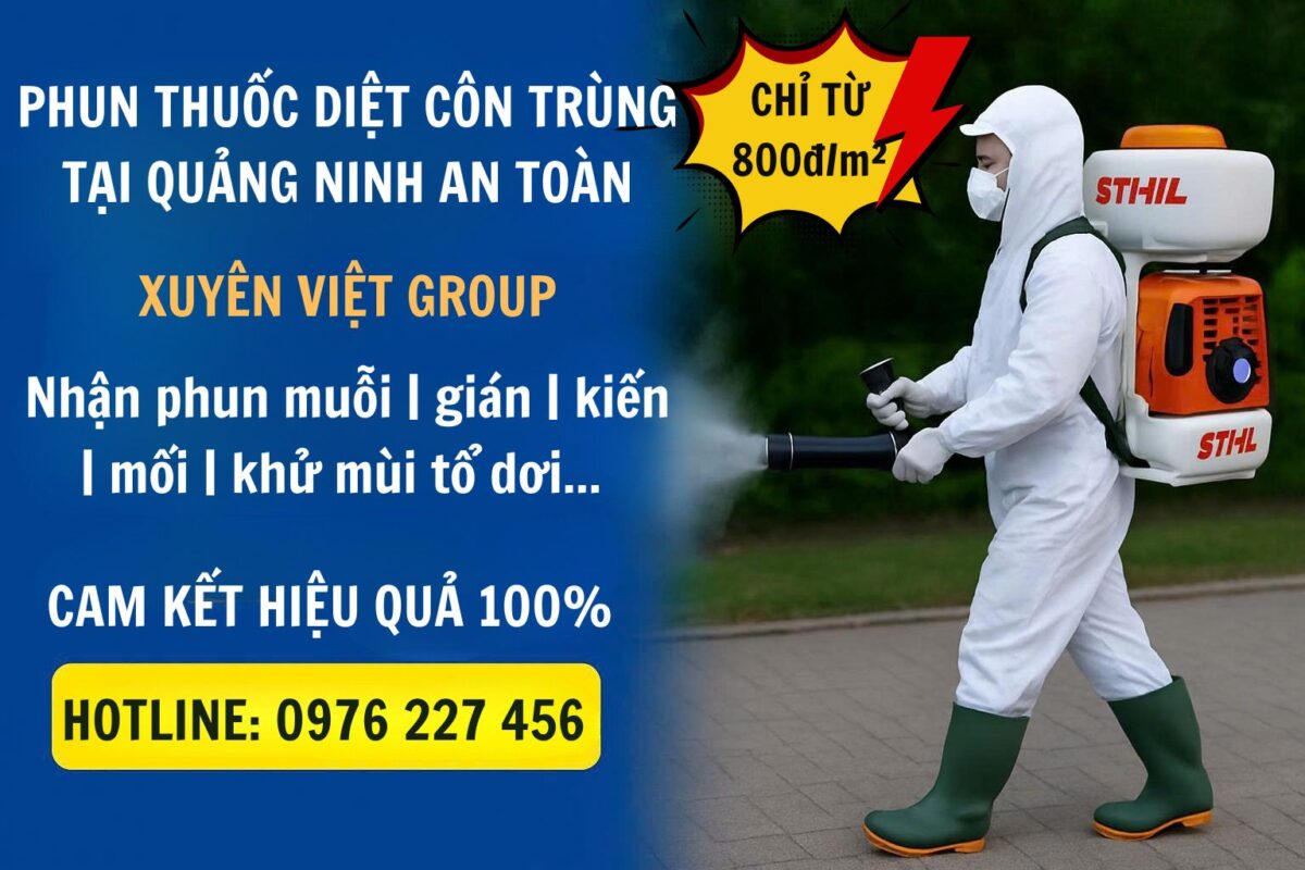 Phun thuốc diệt côn trùng tại Quảng Ninh giá rẻ