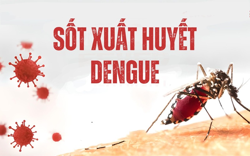 Phun muỗi chống sốt xuất huyết đã trở thành giải pháp hiệu quả