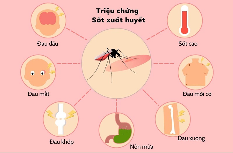 Sốt xuất huyết vô cùng nguy hiểm đến sức khỏe