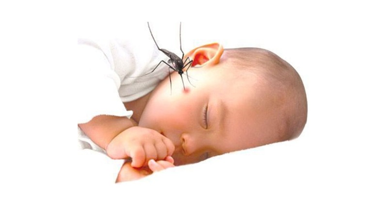 Muỗi không chỉ gây ngứa ngáy, khó chịu, khiến trẻ quấy khóc, mất ngủ