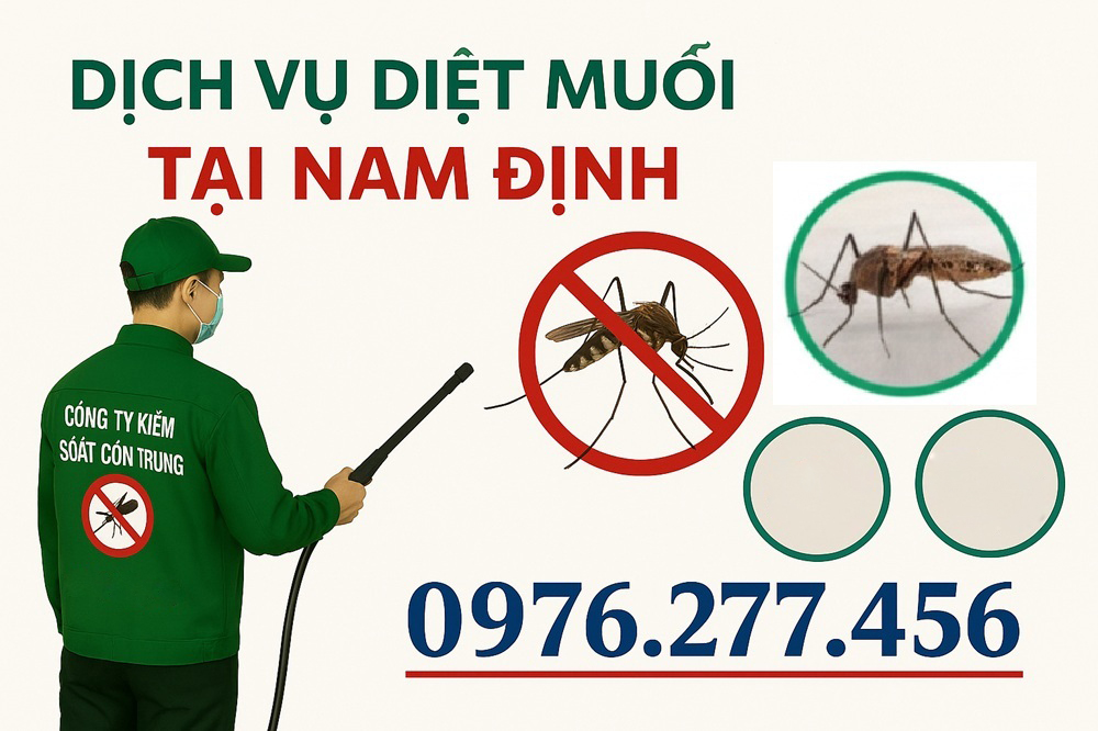 Dịch vụ diệt muỗi tại Nam Định vào mùa hè