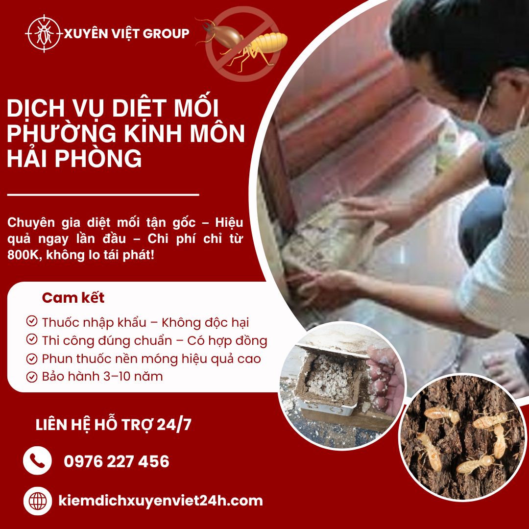 Dịch vụ diệt mối phường Kinh Môn, Hải Phòng