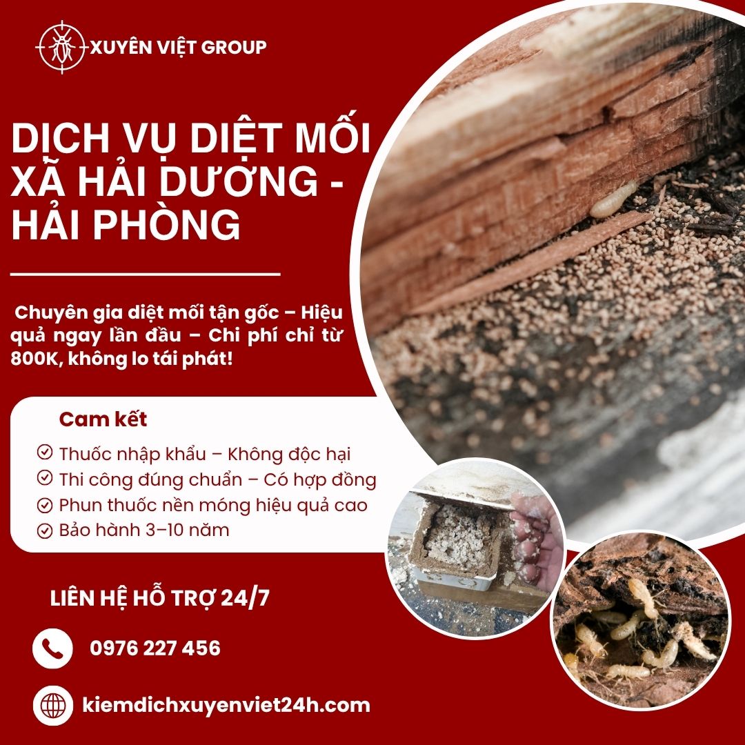 Dịch vụ diệt mối xã Hải Dương