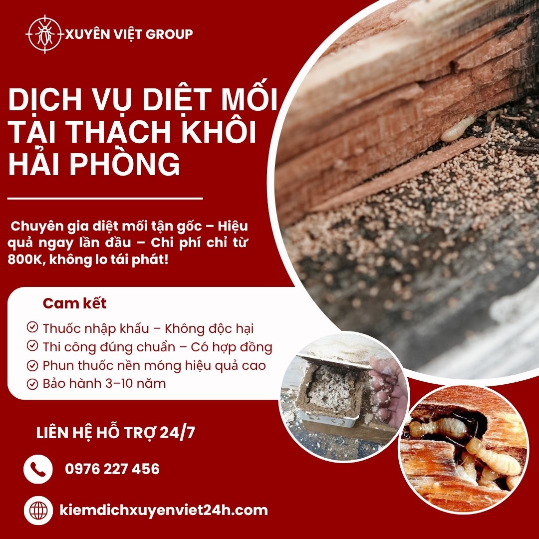 Dịch vụ diệt mối tại Thạch Khôi