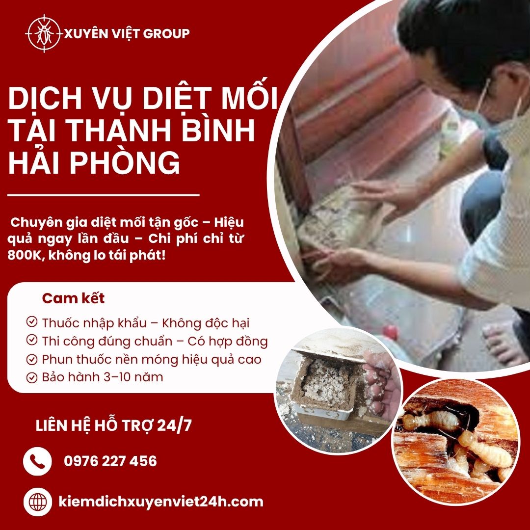 Dịch vụ diệt mối tại Thanh Bình - Hải Phòng