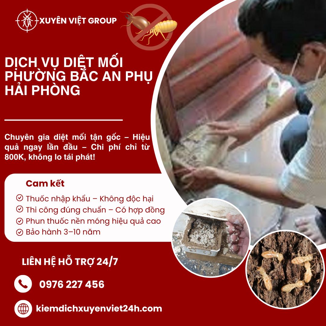 Dịch vụ diệt mối phường Bắc An Phụ, Hải Phòng