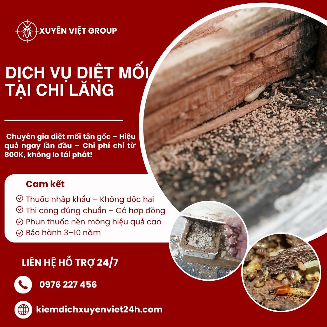 Dịch vụ diệt mối tại Chi Lăng