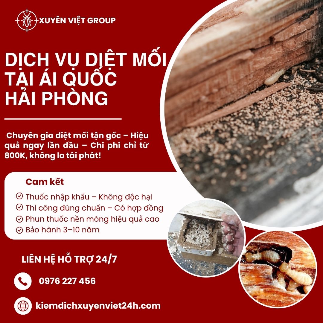 Dịch vụ diệt mối tại Ái Quốc