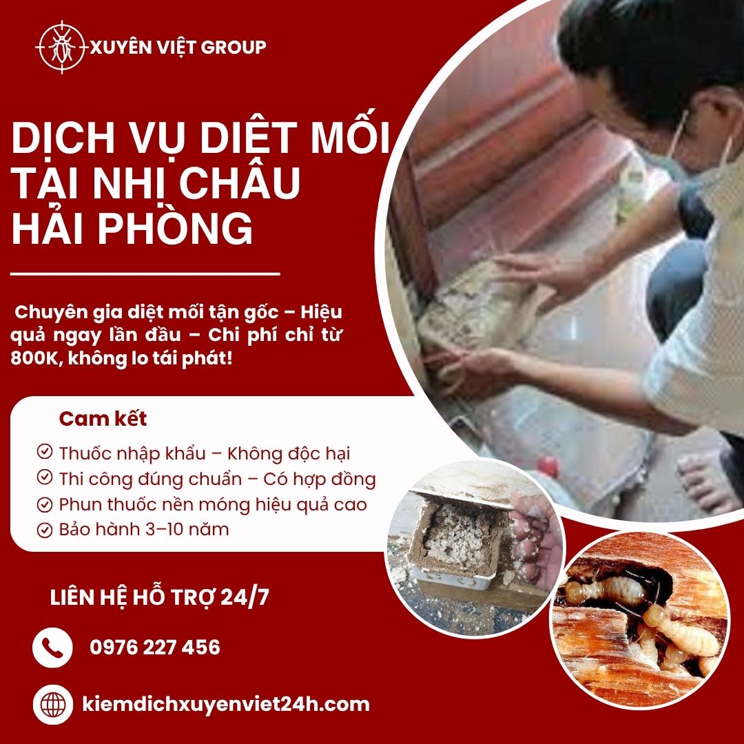 Dịch vụ diệt mối tại Nhị Châu Hải Phòng