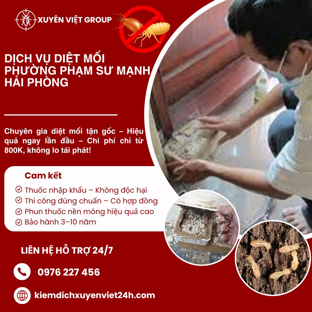 Dịch vụ diệt mối phường Phạm Sư Mạnh, hải Phòng