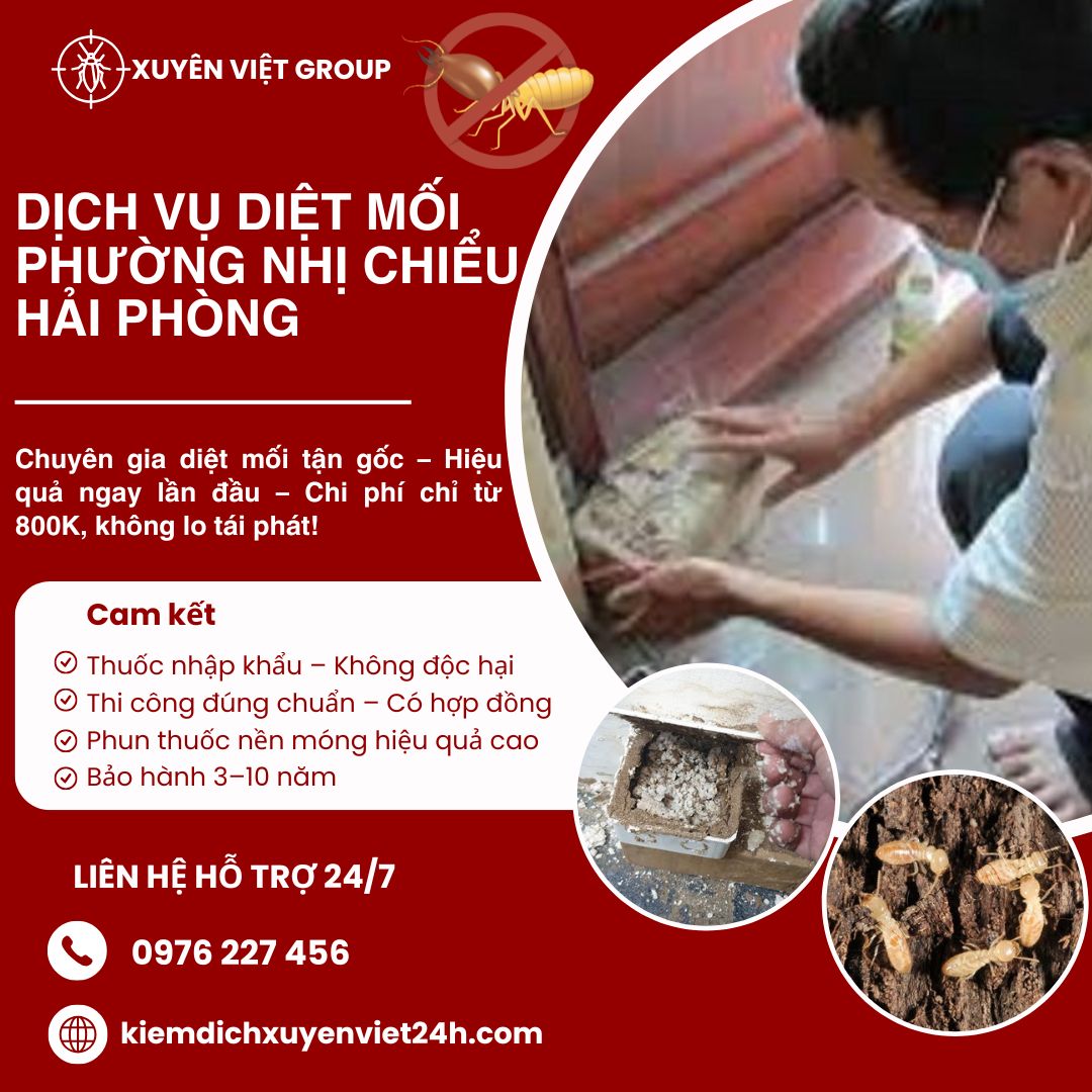 Dịch vụ diệt mối phường Nhị Chiểu - Hải Phòng