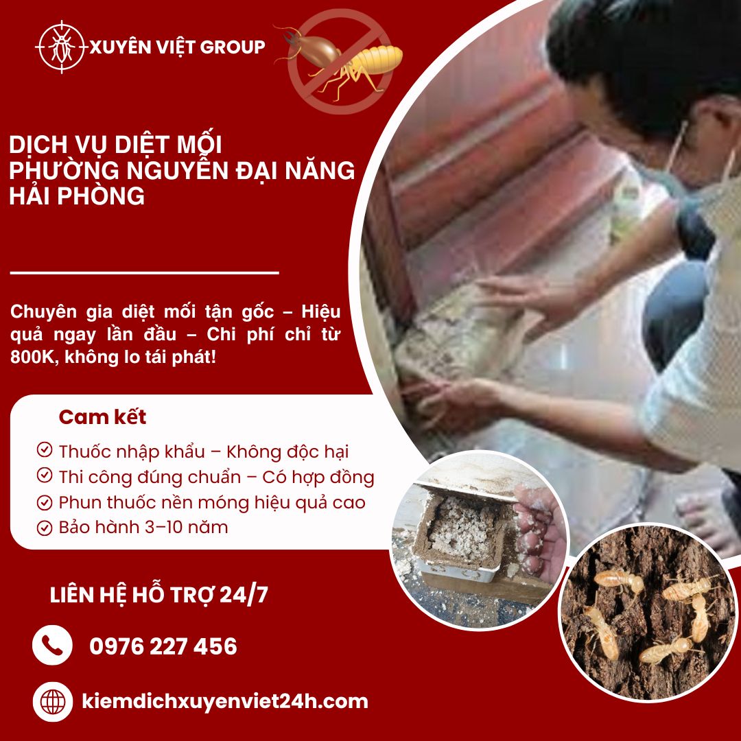 Dịch vụ diệt mối phường Nguyễn Đại Năng, Hải Phòng