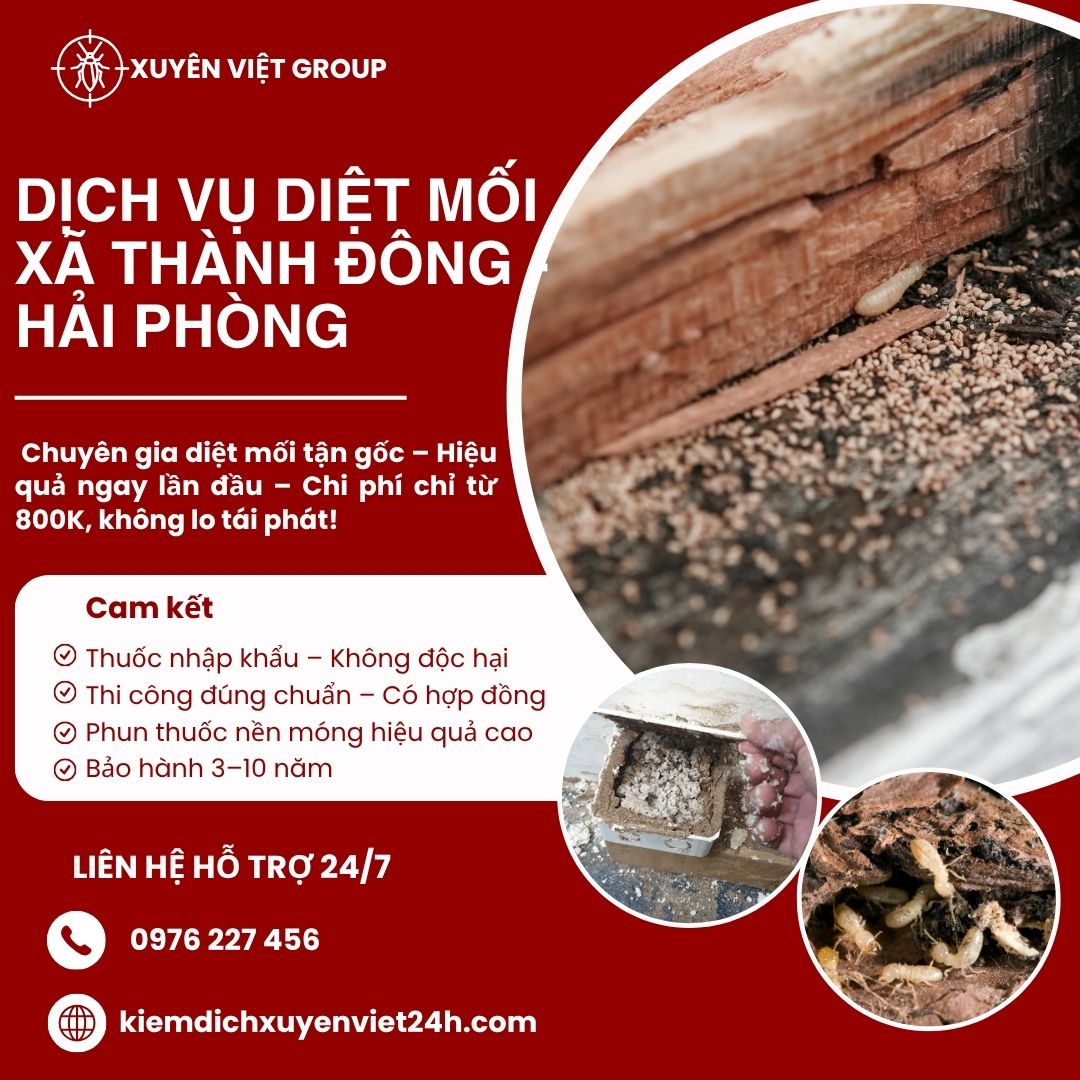 Dịch vụ diệt mối xã Thành Đông