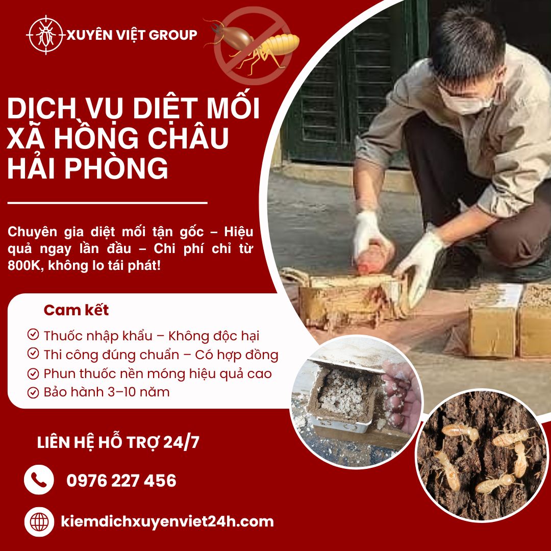 Dịch vụ diệt mối xã Hồng Châu, Hải Phòng
