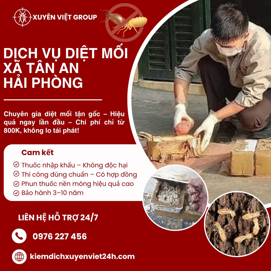 Dịch vụ diệt mối xã Tân An, Hải Phòng