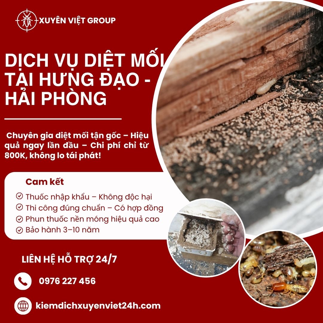 Dịch vụ diệt mối tại Hưng Đạo