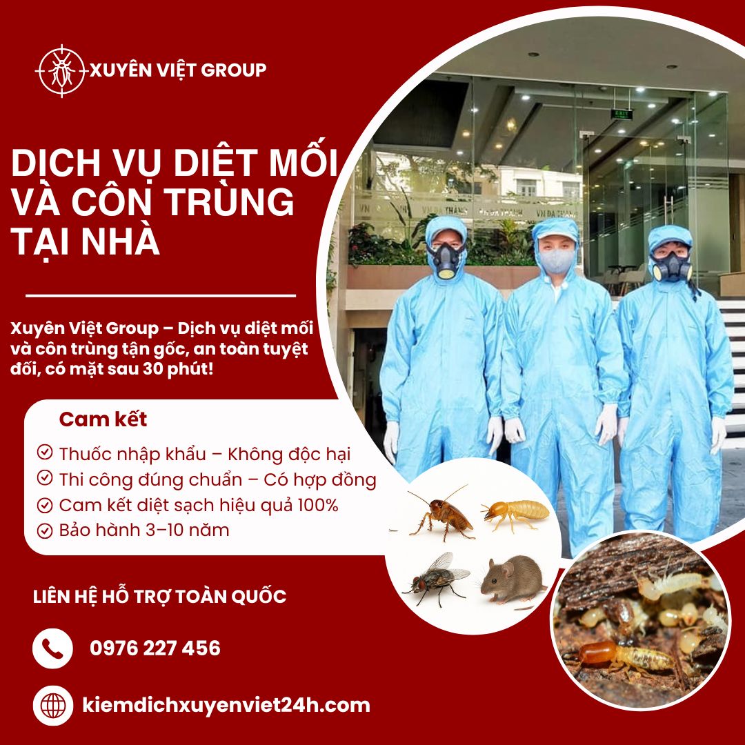 Dịch vụ diệt mối và côn trùng