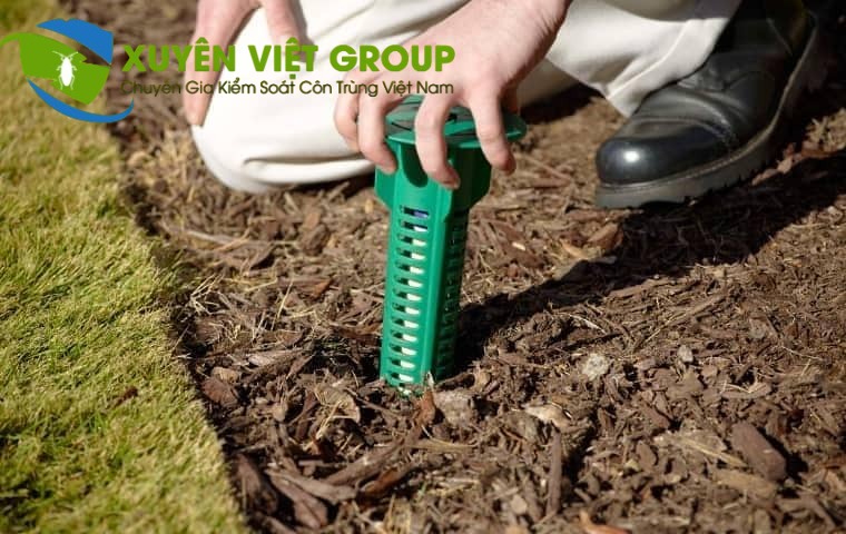 Gói công nghệ sinh học Termite Control Malaysia xử lý mối an toàn tại Điện Biên