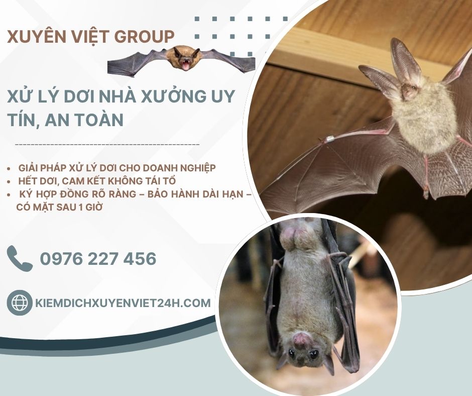 Xử lý dơi nhà xưởng