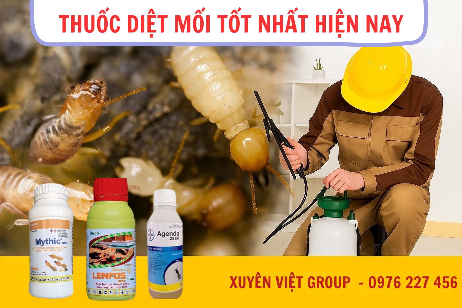 Thuốc diệt mối hiệu quả tại Hải Phòng