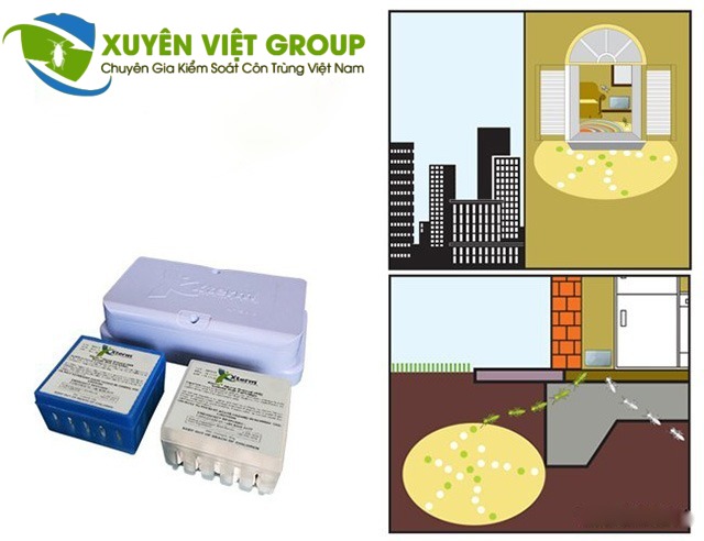 Gói bả Xterm công nghệ Nhật Bản diệt mối tận gốc tại Điện Biên
