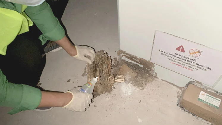 diệt mối tại Quỳ Hợp