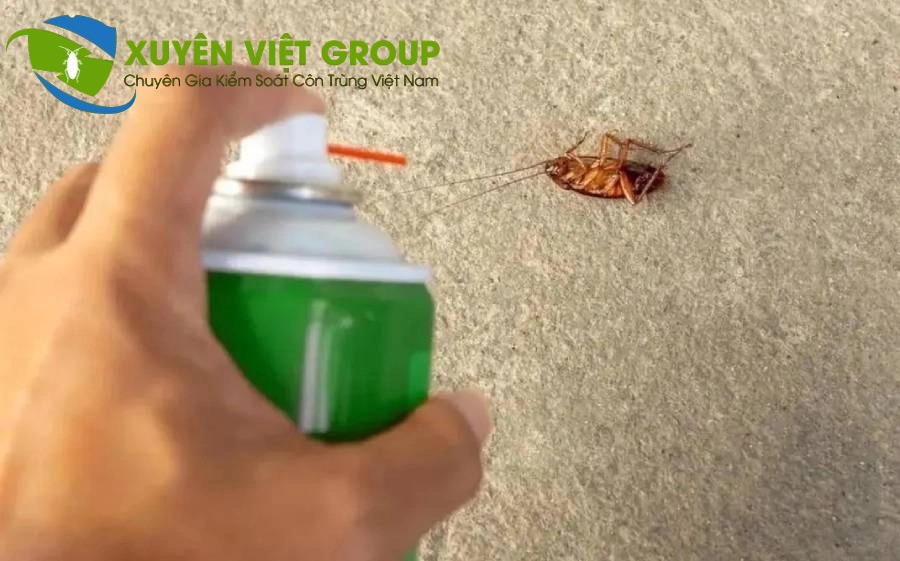 Dịch vụ diệt gián tận gốc, an toàn cho gia đình Bắc Ninh