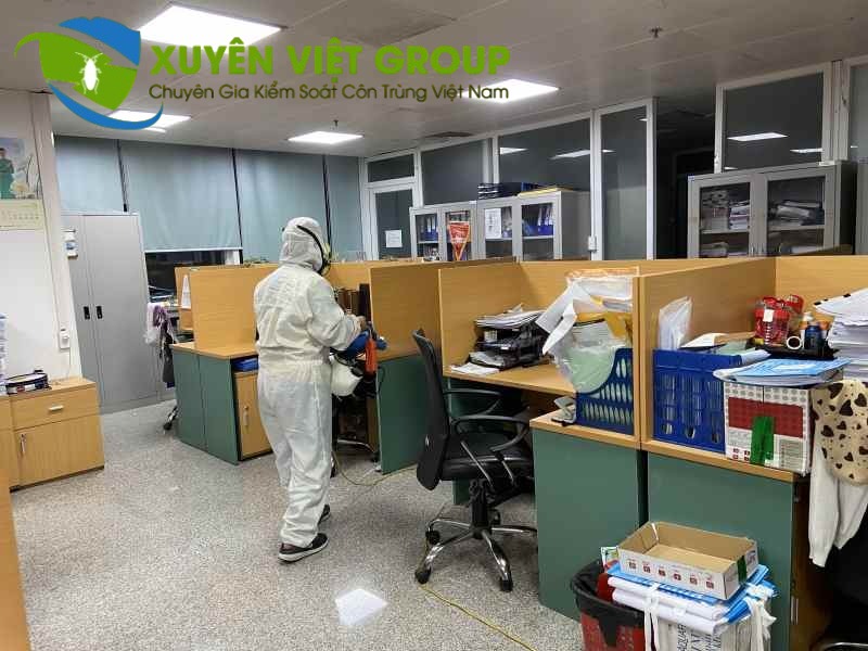 Phun thuốc diệt côn trùng định kì cho văn phòng làm việc