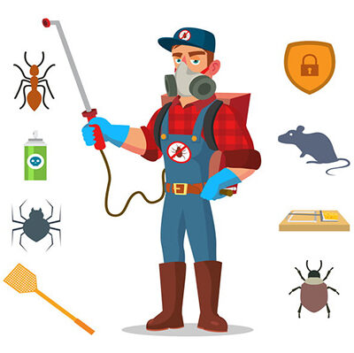 diệt mối tại Như Xuân