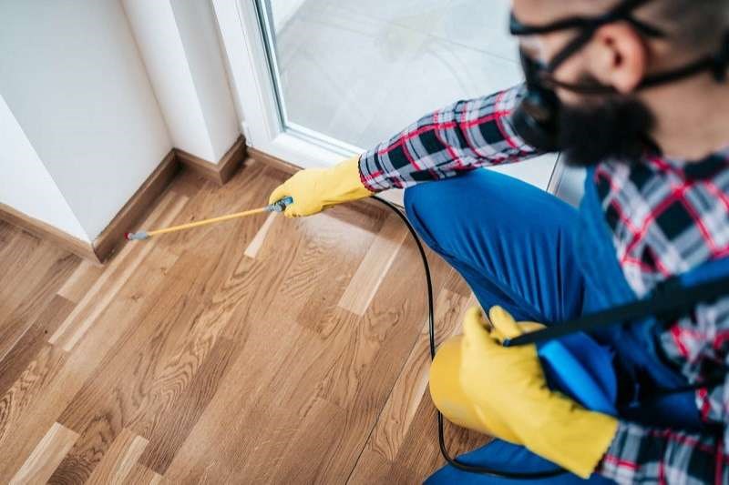 diệt mối thị xã Thái Hòa