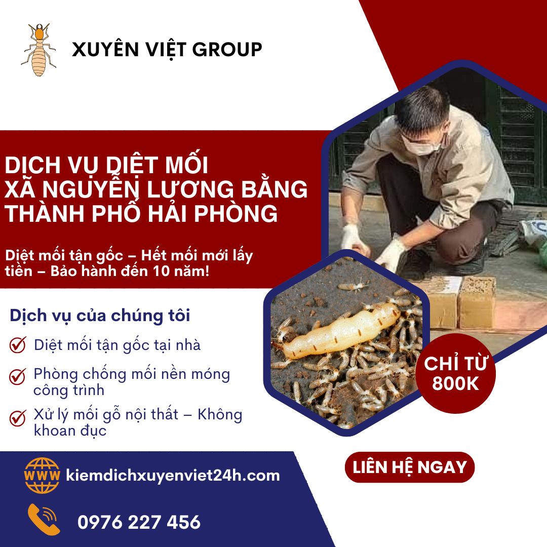 Dịch vụ diệt mối xã Nguyễn Lương Bằng, Hải Phòng