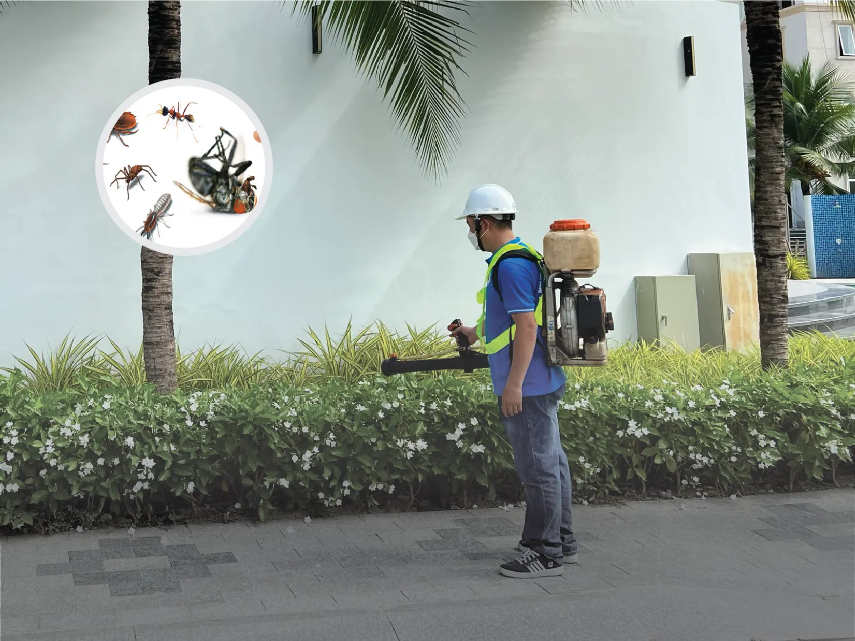 diệt mối tại Tân Kỳ 