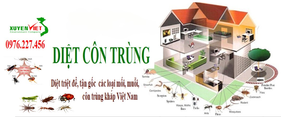 Diệt côn trùng
