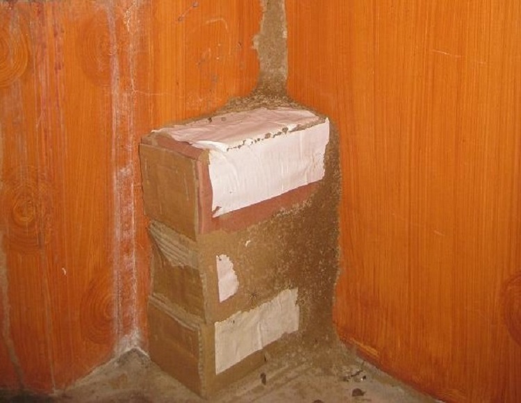 diệt mối tại Anh Sơn