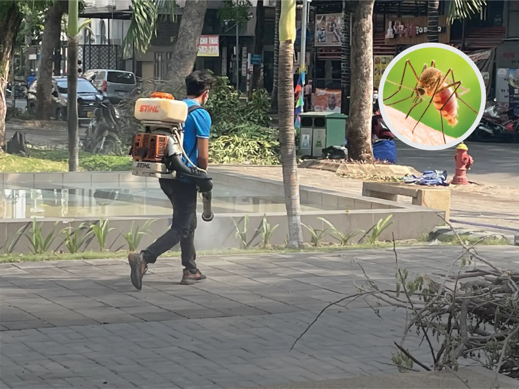 Dịch vụ phun muỗi quận 5 an toàn - bảo hành 3-6 tháng