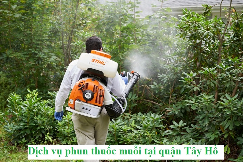 Phun thuốc muỗi tại quận Tây Hồ từ A – Z