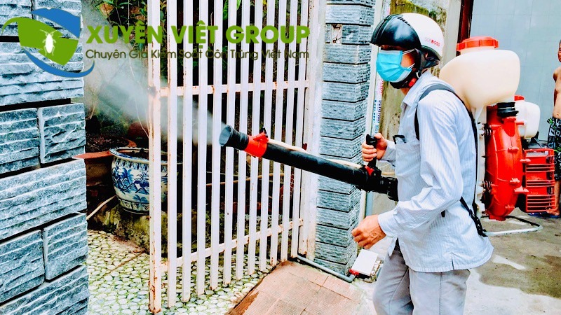 Dịch vụ phun thuốc diệt côn trùng tổng hợp tại Bắc Ninh