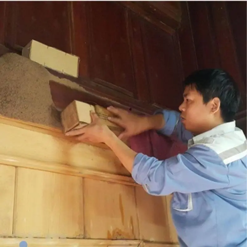 Kỹ thuật viên đặt hộp bả sinh học diệt mối tại xã Thượng Hồng